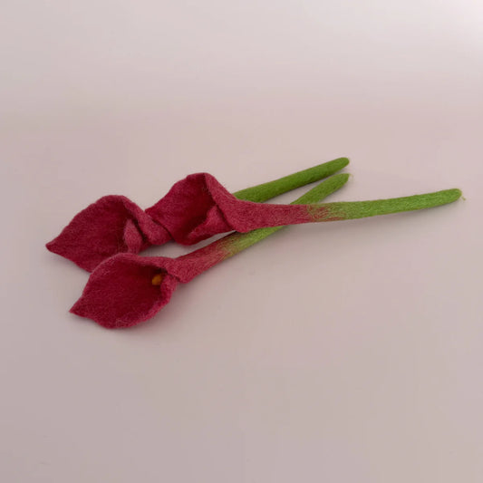 Calla Lilies