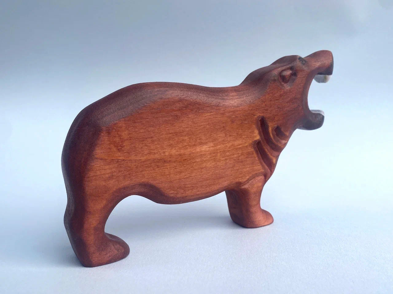 Hippopotamus