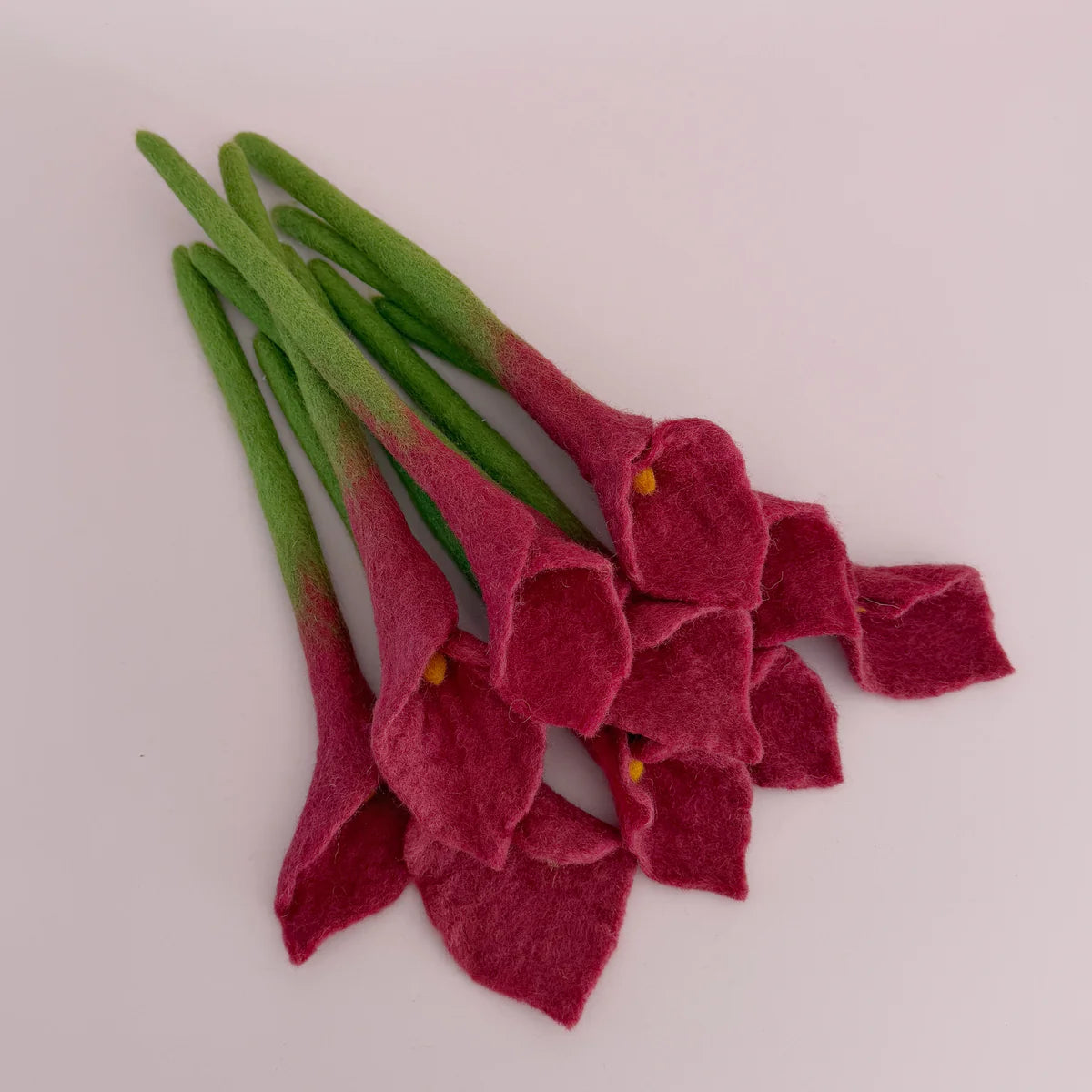 Calla Lilies