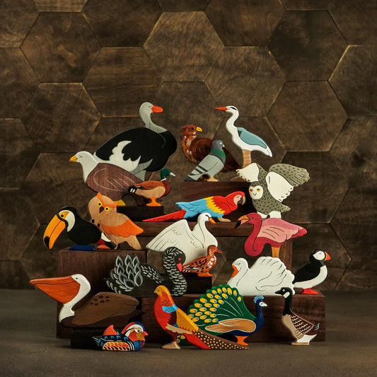 Mandarin duck