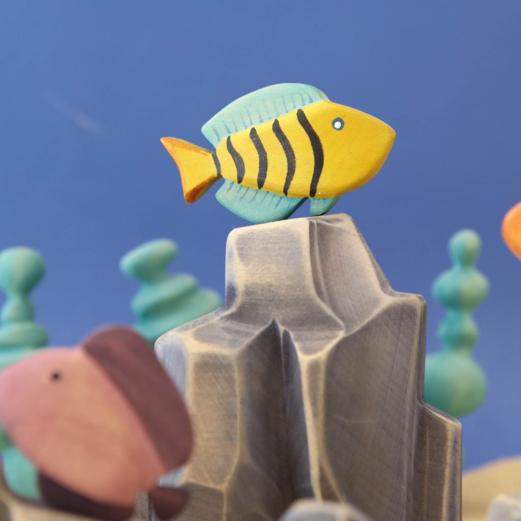 Butterfly Fish *Pre-Order*