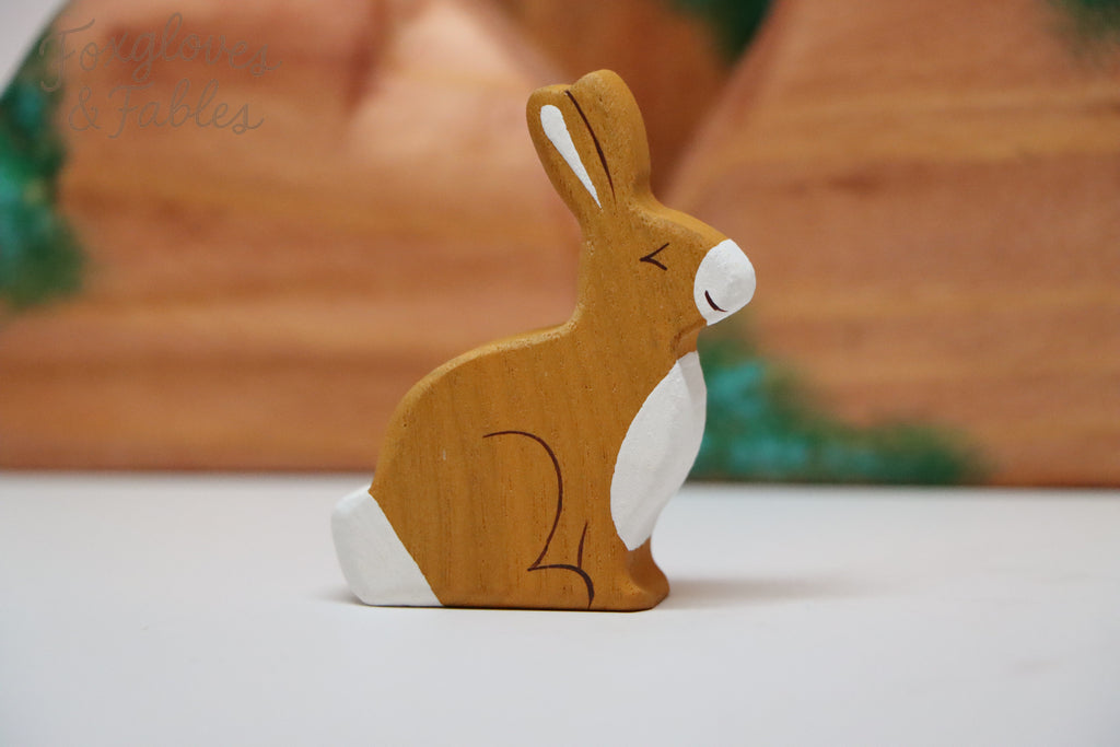 Woodland Hare