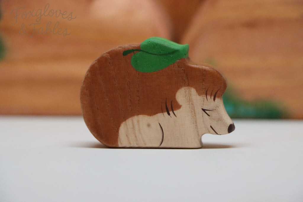 Woodland Hedgehog