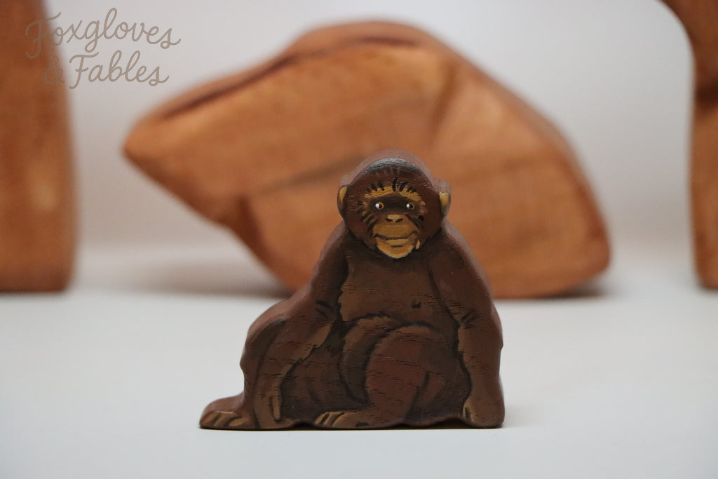Chimpanzee