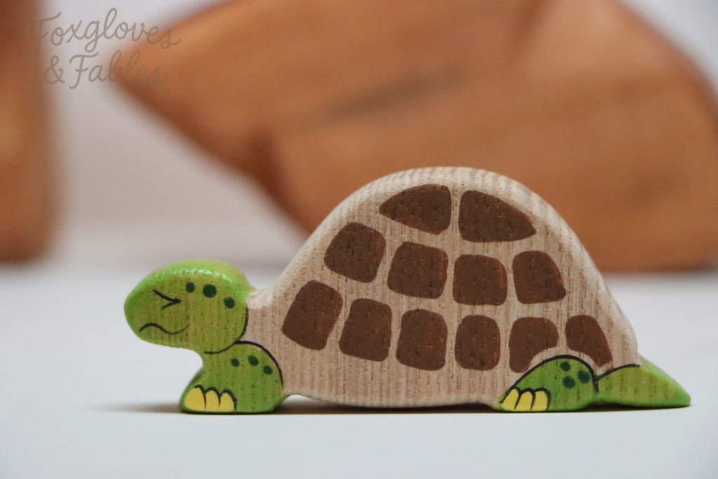 Tortoise