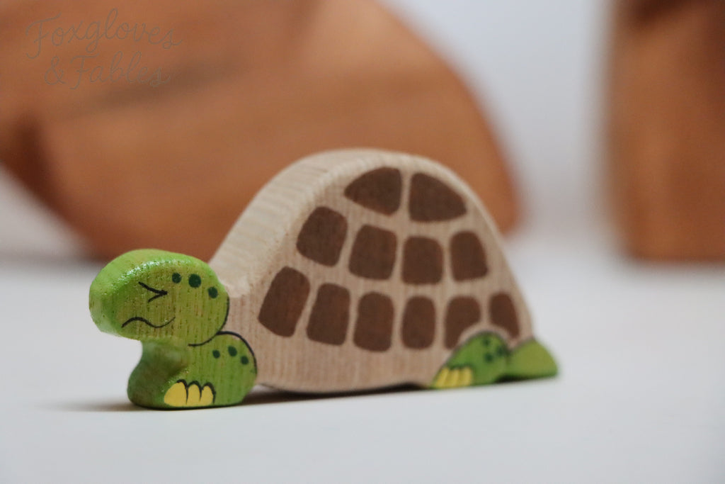 Tortoise