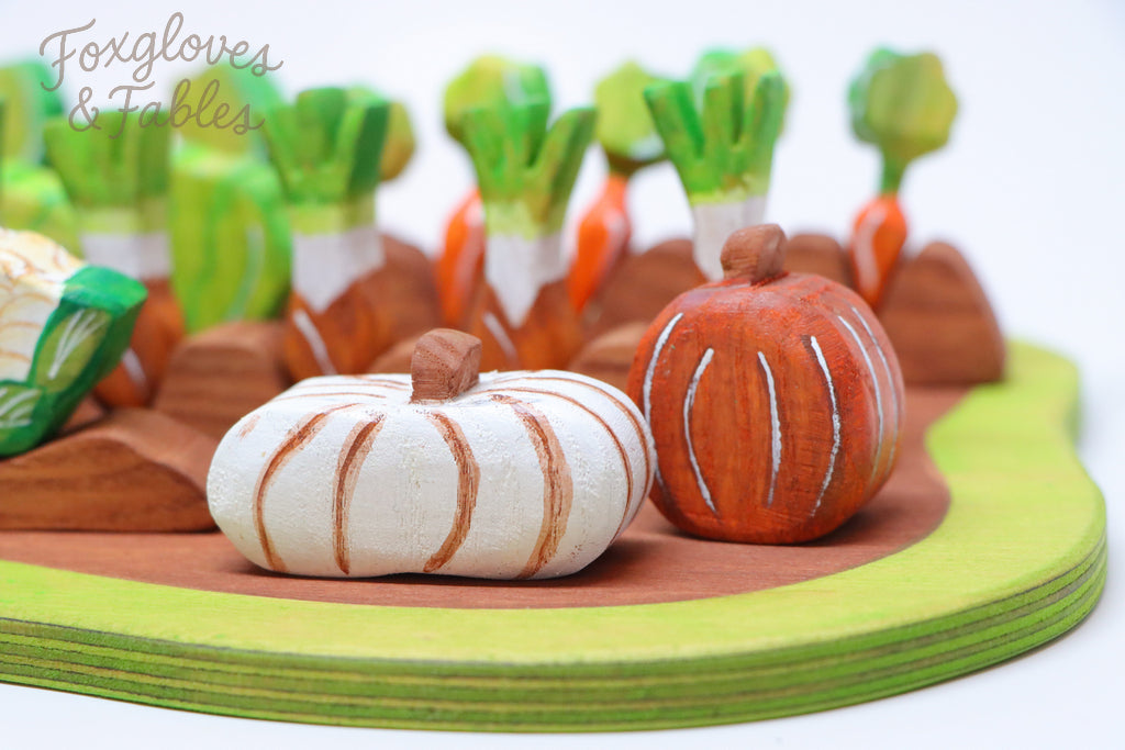 Vegetable Garden Set (#1)