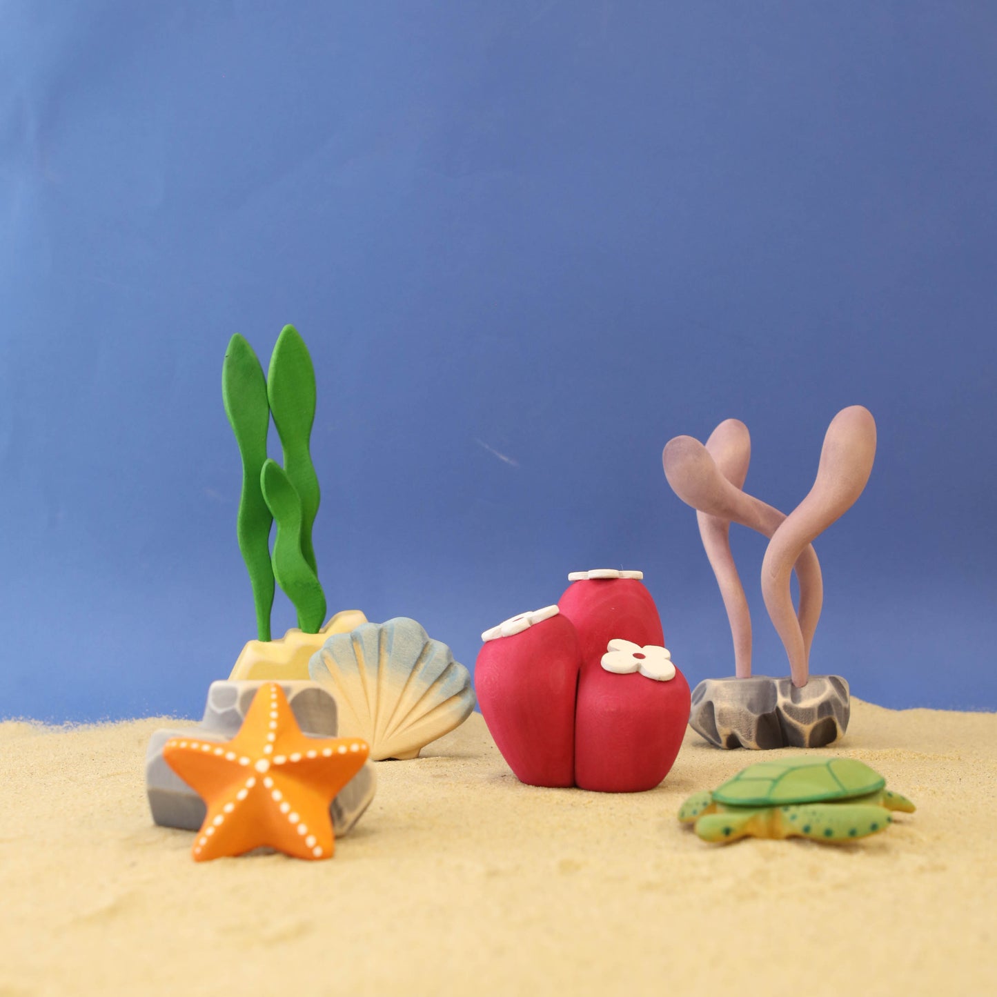 Ocean Swirl Plant *Pre-Order*