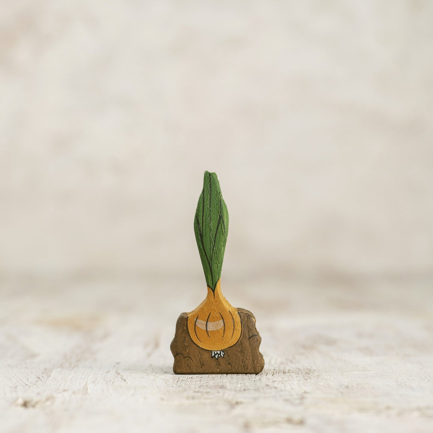 Onion