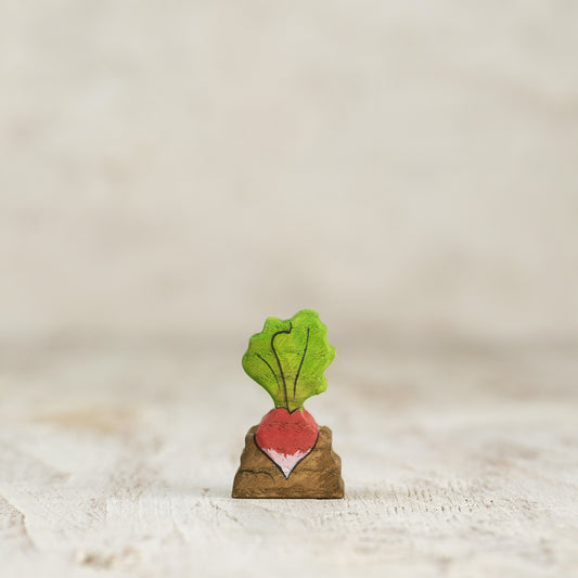Radish