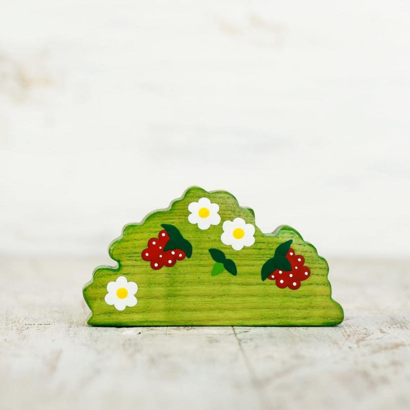 Raspberry Bush