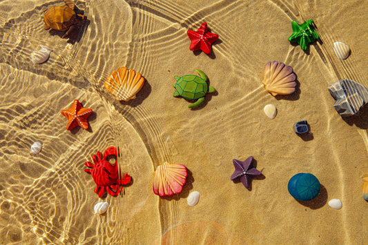 Orange Starfish *Pre-Order*