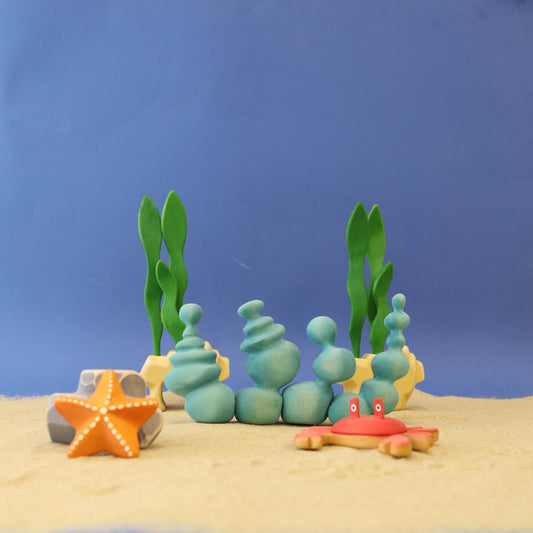 Round-Shaped Coral Set *Pre-Order*