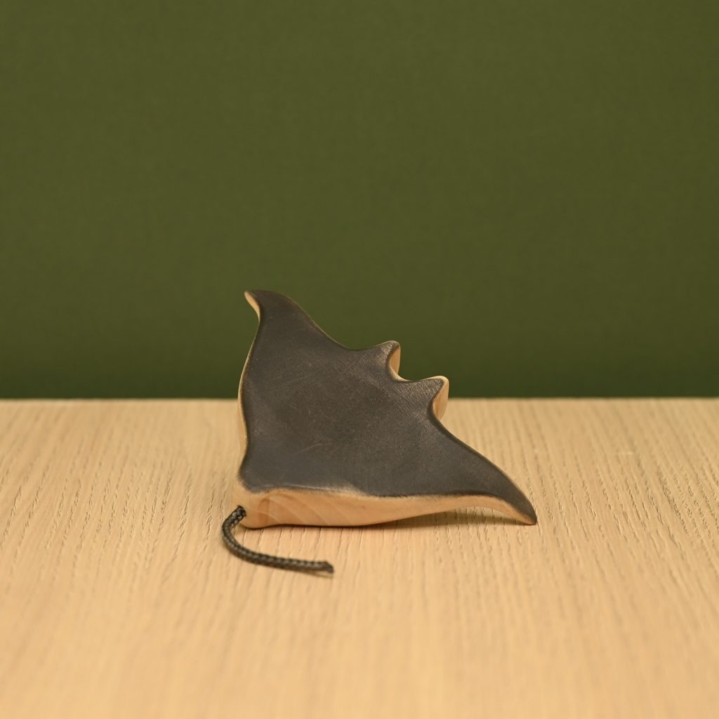 Manta Ray *Pre-Order*