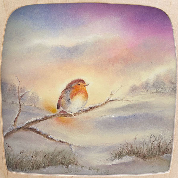 Winter Robin by Baukje Exler