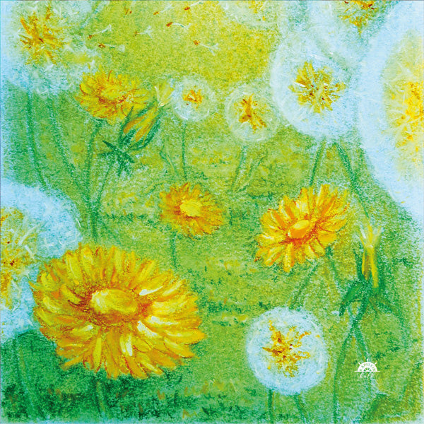 "Field of Wishes" by Kapitein Kalk