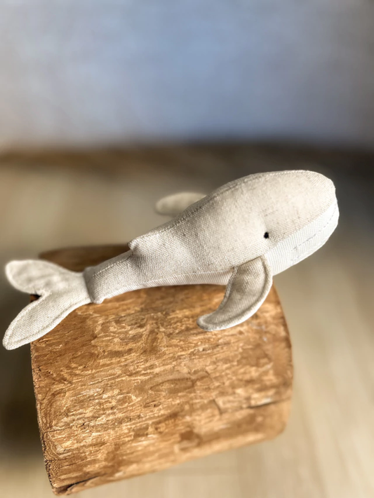 "Kai" the Whale