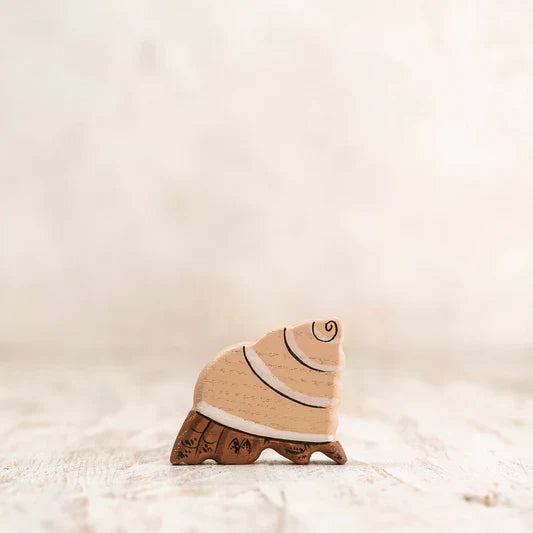 Hermit crab