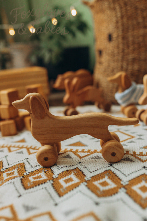 The Dachshund