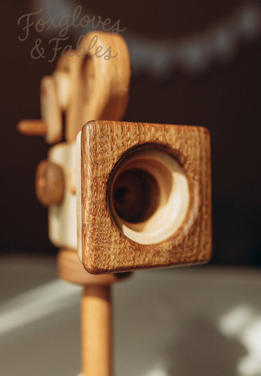 The Wooden Video Camera