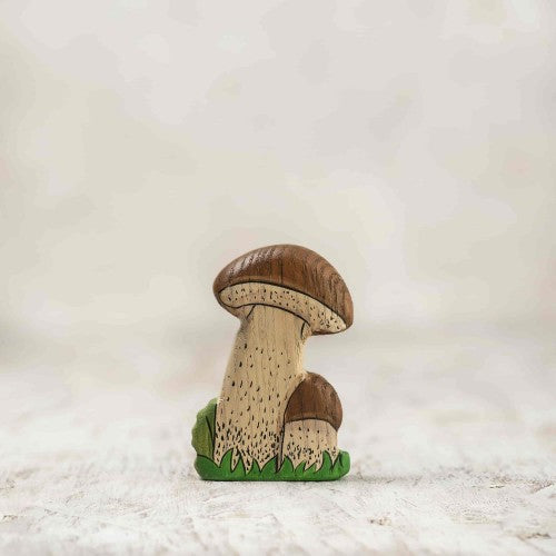 Birch mushroom
