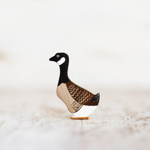 Canada goose