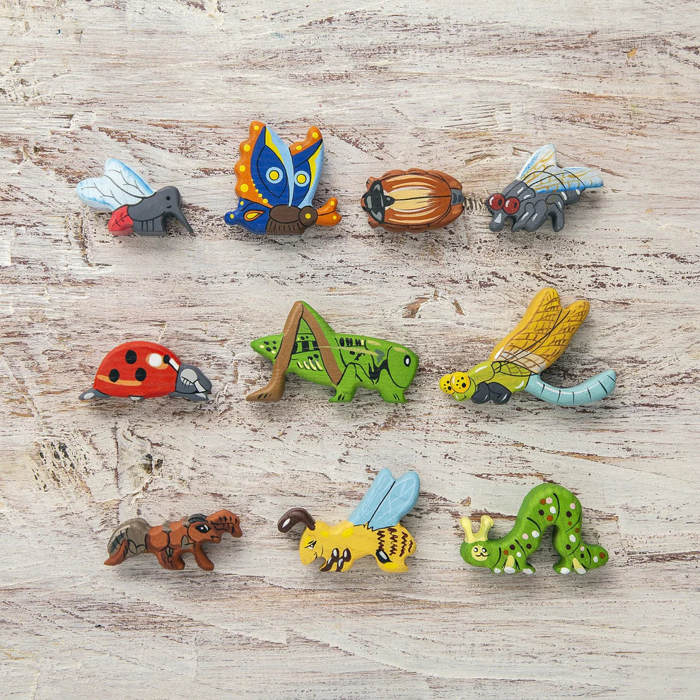 Insects