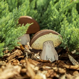 Mushrooms