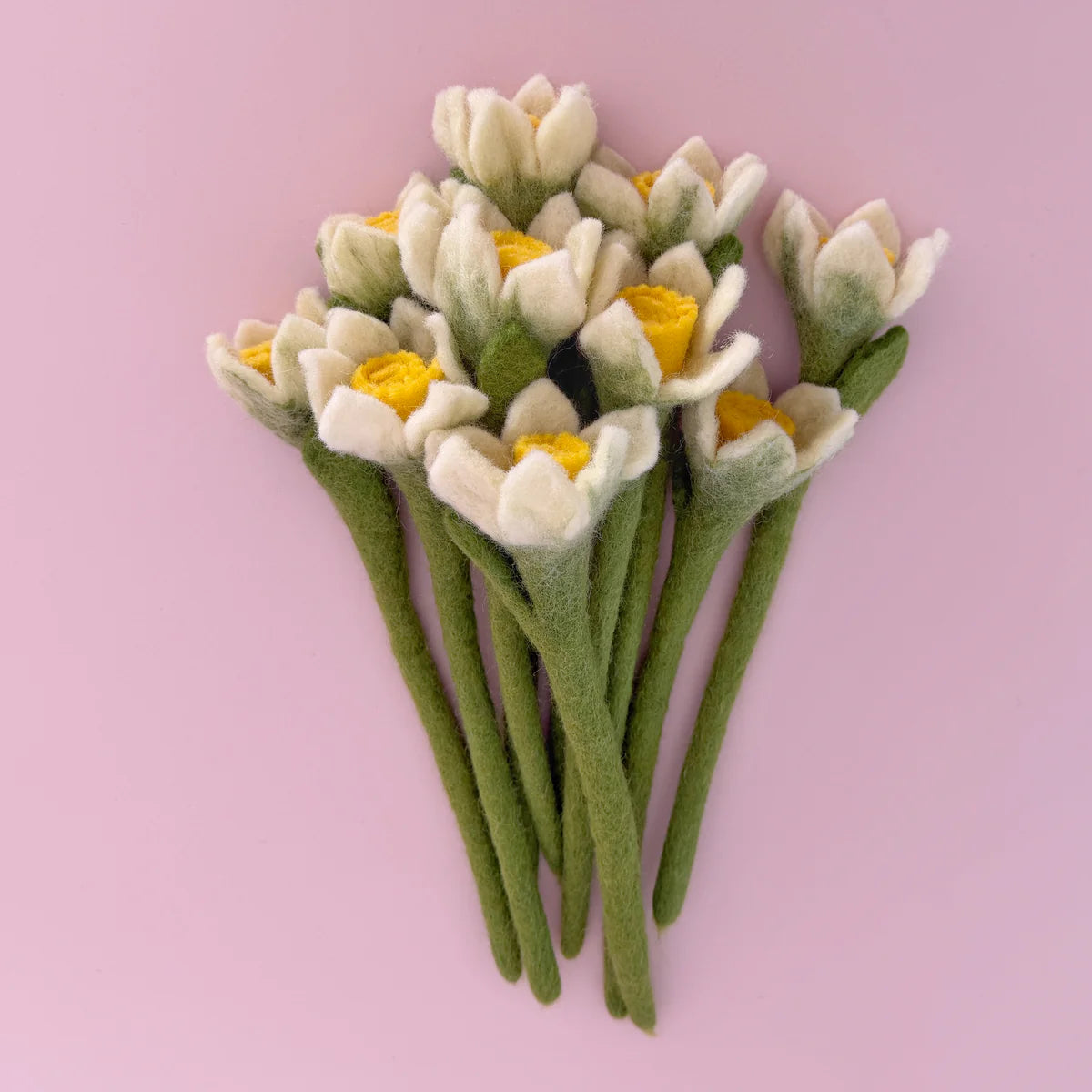 Daffodils