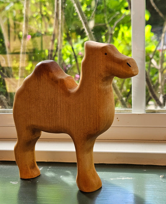 The Camel