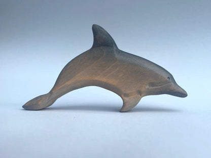 Dolphin