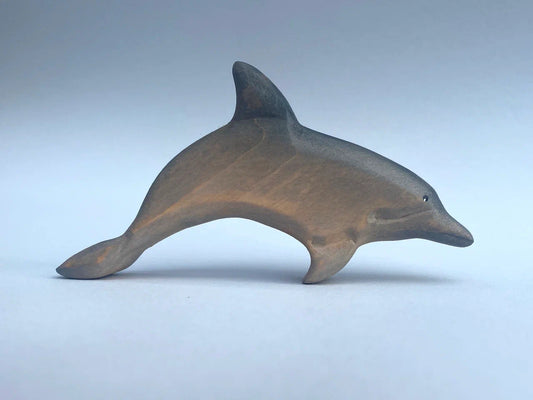 Dolphin