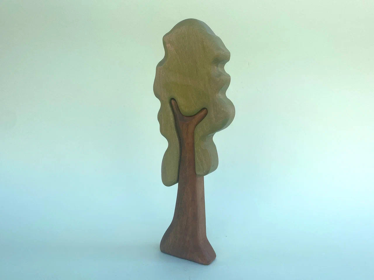Sequoia Tree