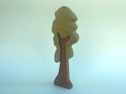 Sequoia Tree