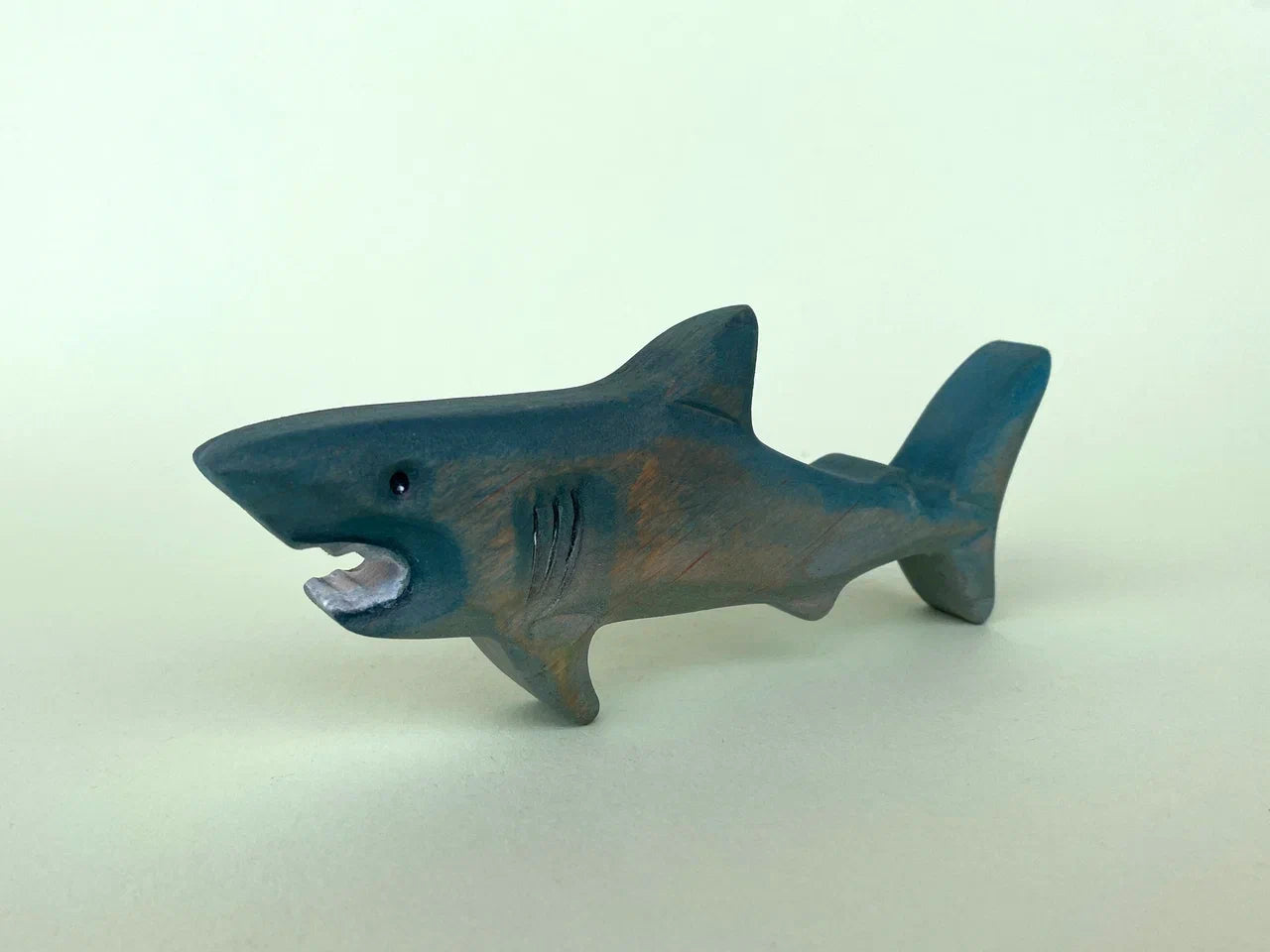 Shark