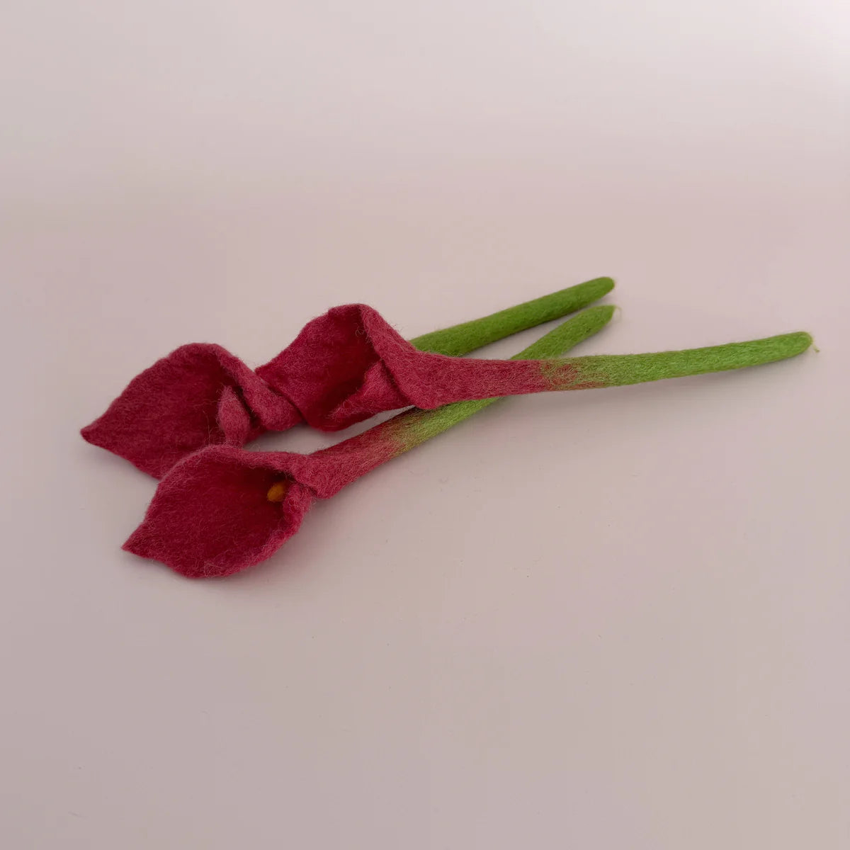 Calla Lilies