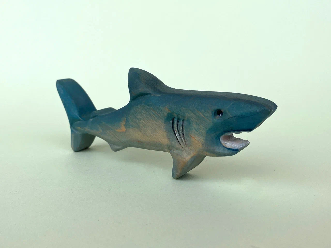 Shark