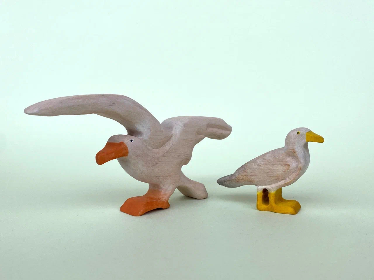 Seabirds