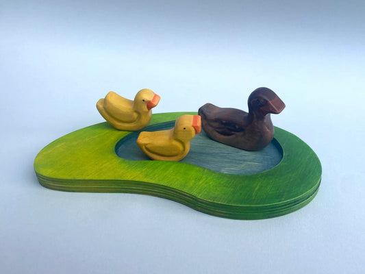 Duck & Ducklings