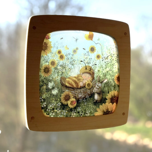 Het Houtlokael - Window Frame
