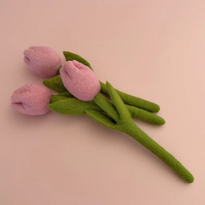 Pink Tulip