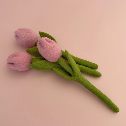 Pink Tulip