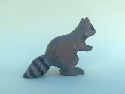 Raccoon