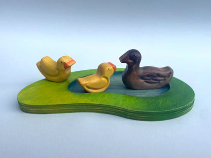 Duck & Ducklings