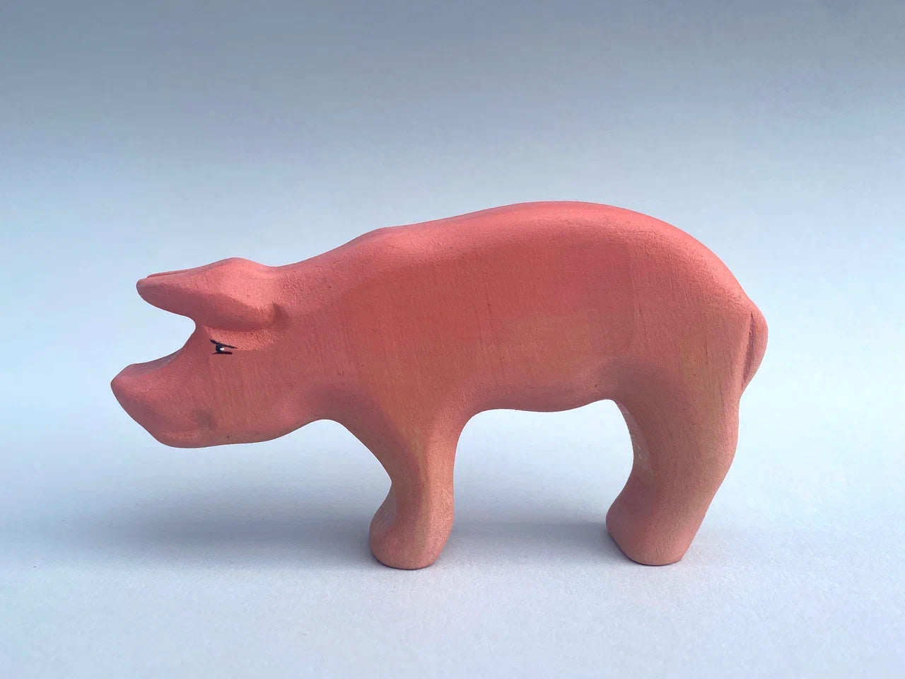 Pig