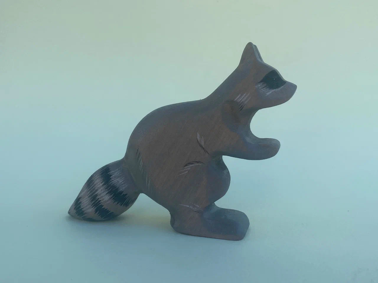 Raccoon