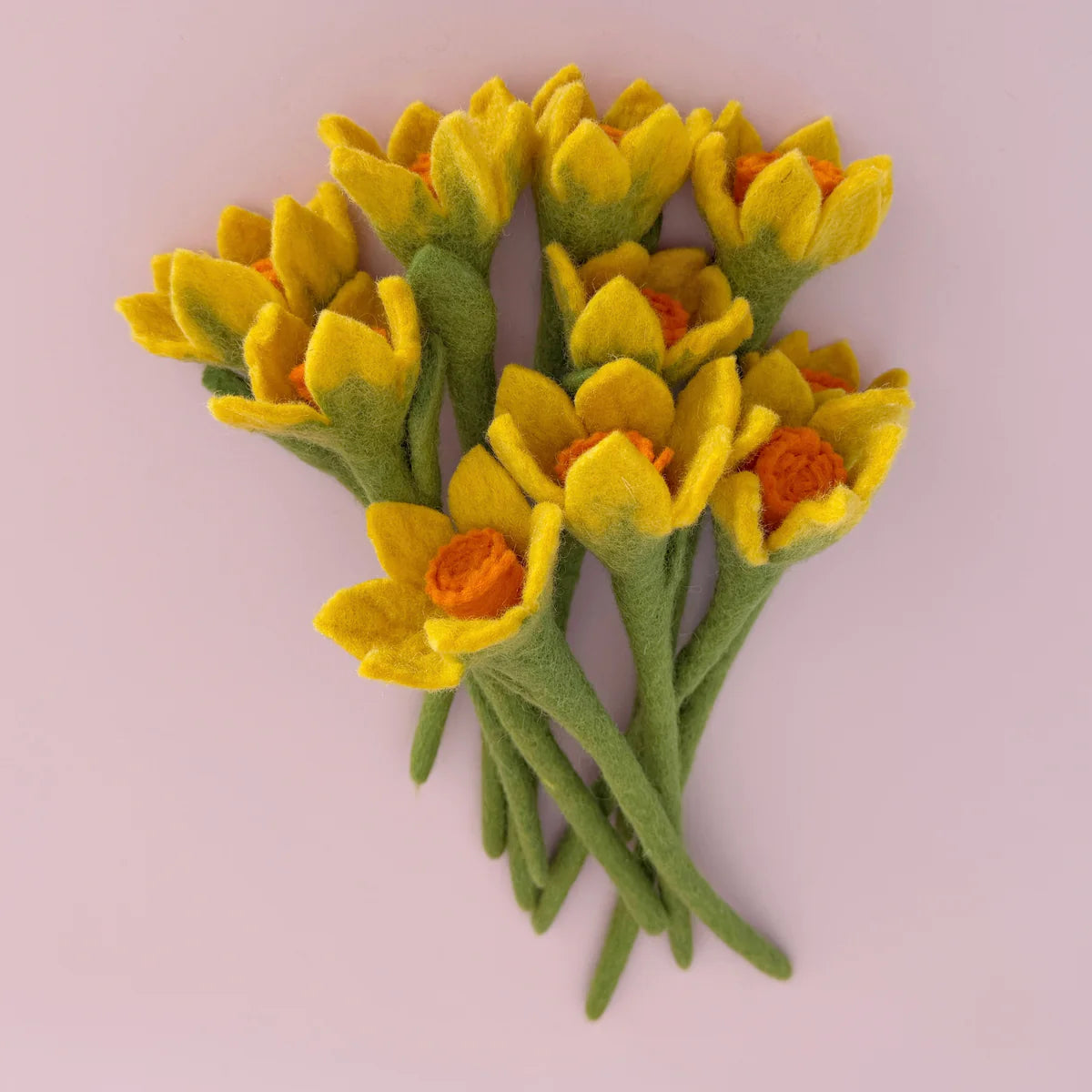 Daffodils