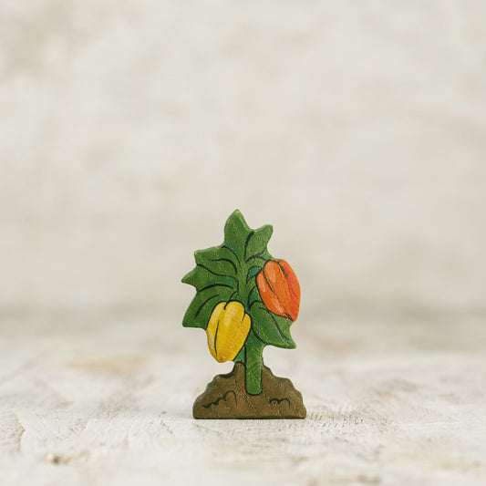 Bell pepper