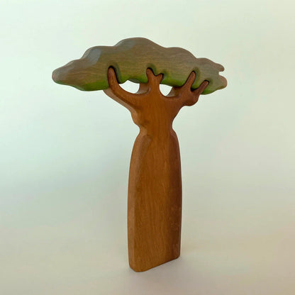 Baobab Tree