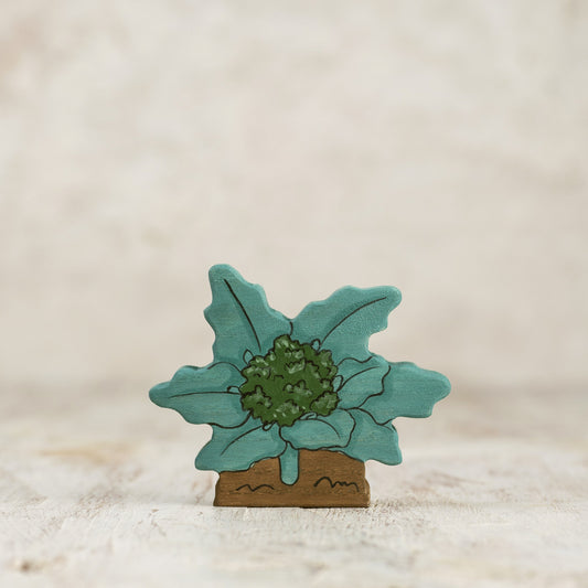 Broccoli